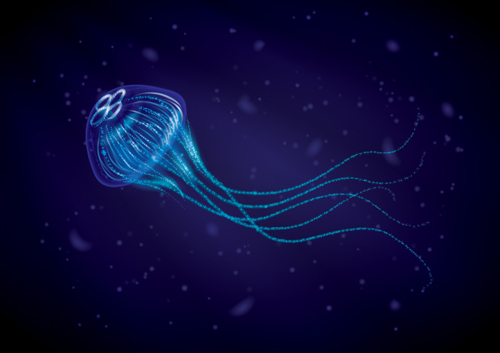 Create a Jellyfish with Brushes in Adobe Illustrator CS5