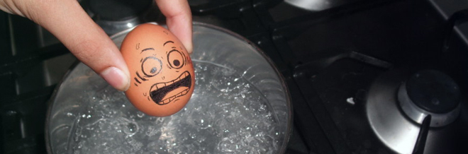 30 Funny Pictures of Eggs