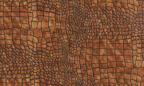 Dragon Skin Texture
