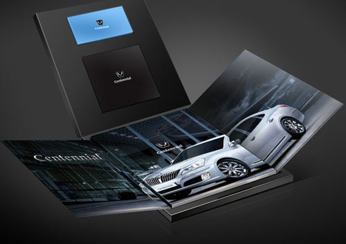 Hyundai VIP Brochure