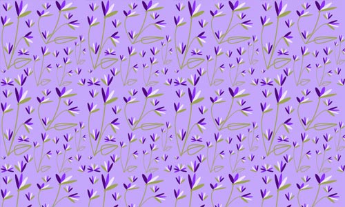 viola garden