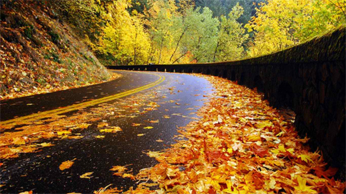 Autumn Road wallpaper