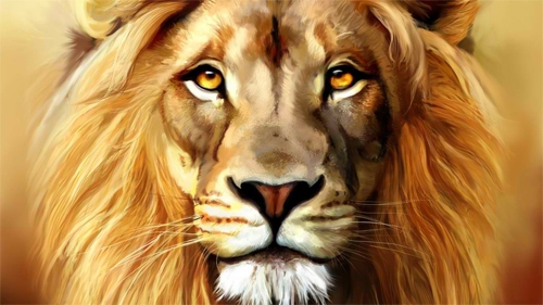 Beautiful Lion wallpaper
