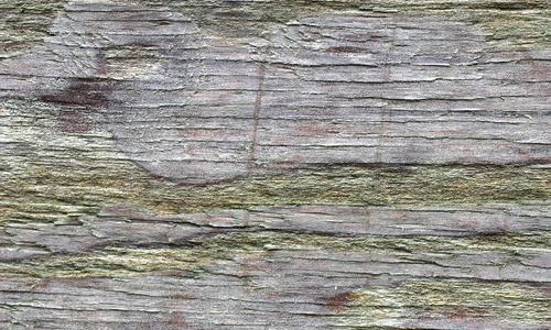 Old Mossy Plywood 03 texture