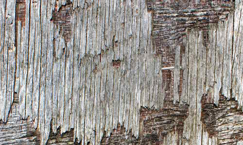 Damaged plywood texture