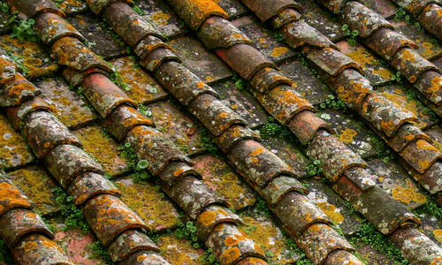 Ancient Roof texture