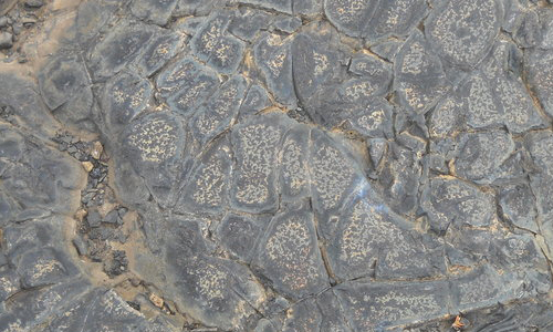 Lava Crack Texture 1