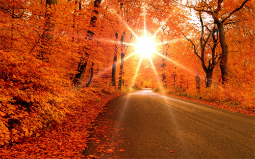  Autumn road wallpapers