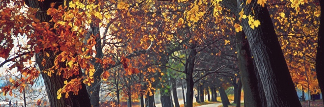 30 Stunning Autumn Wallpaper Collections