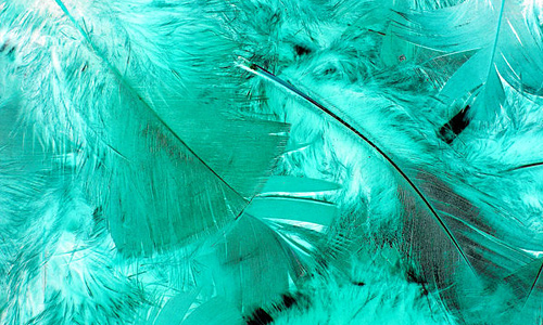 Cyan blue light feather beautiful texture