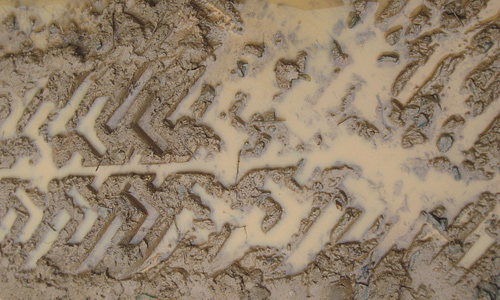 Trail tire wet mud texture
