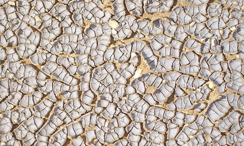 White crack dried mud texture