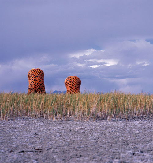 Bodyscapes Leopard