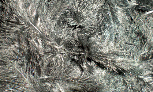 Grey ugly feather beautiful texture