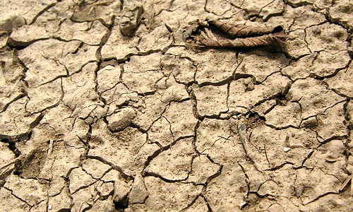 Dirty brown crack mud texture