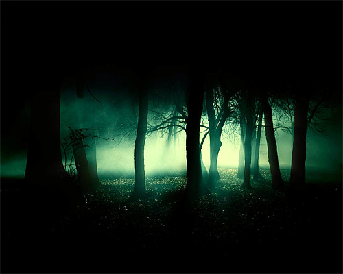 Forbidden gloomy light neon tree forest scary