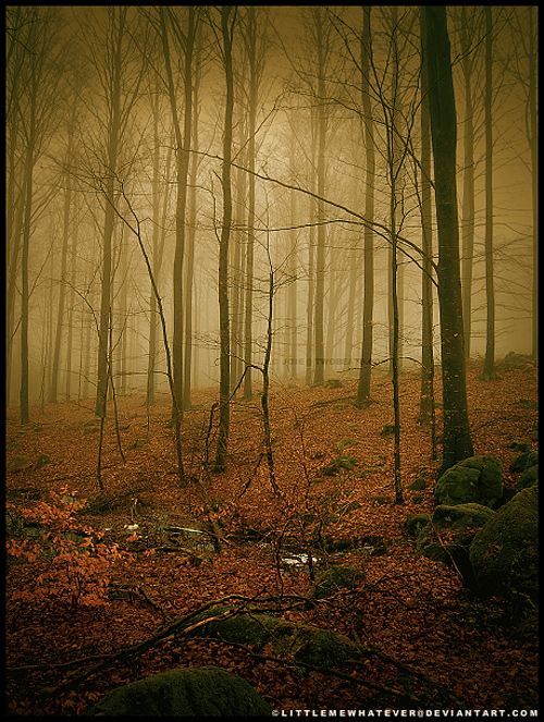 Yellowish dead tree forest scary