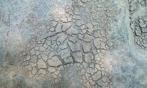 Dry crack mud texture
