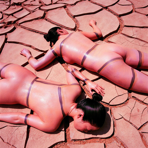 Bodyscapes Crack