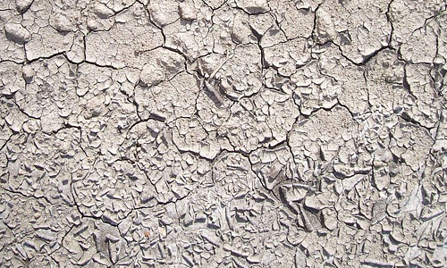 Grey cracked mud texture