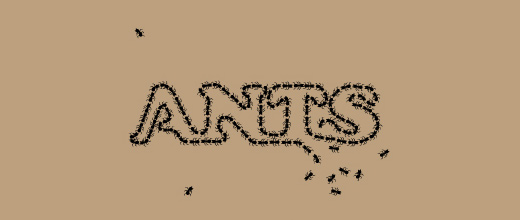 Typography ant logo