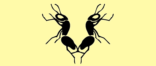 Simple lion ant logo