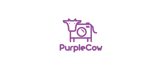 Cow photography camera purple logo