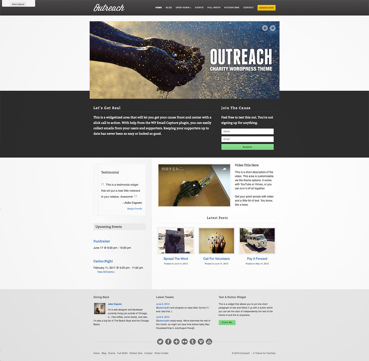 charity wordpress theme