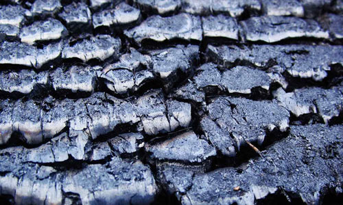 Texture (Burned wood)