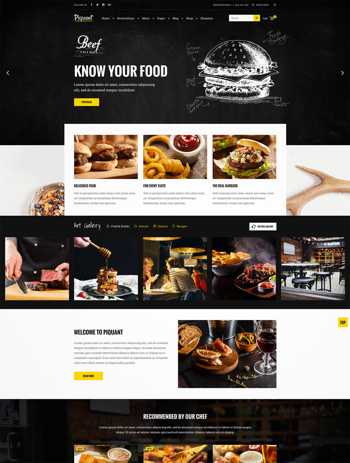 premium wordpress theme