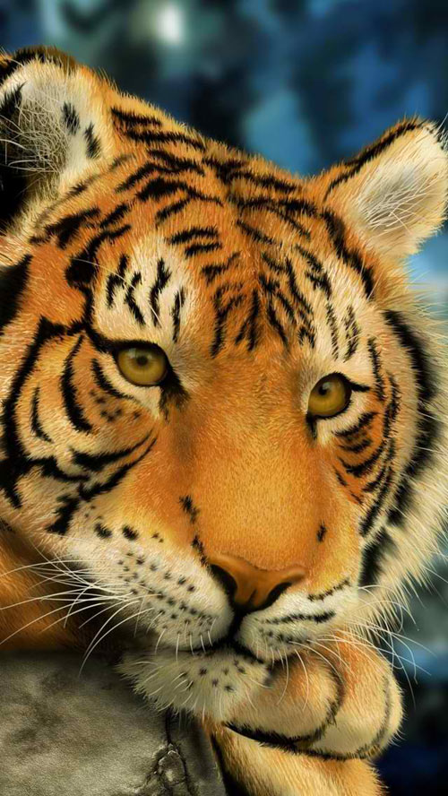 Animal iphone 5 wallpaper