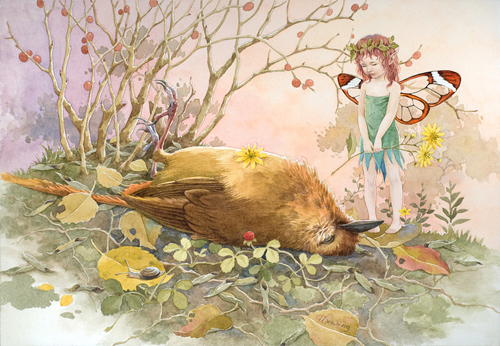 Girl bird cute fairy illustrations artworks