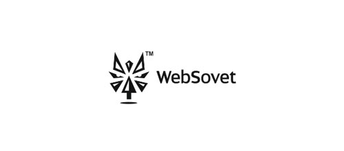 WebSovet logo