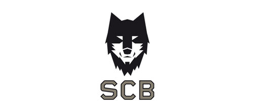 SCBruderholz logo