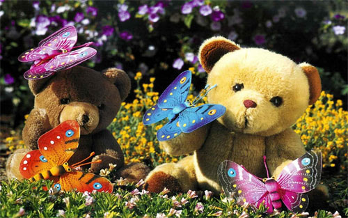 teddy with butterfly wallpaper