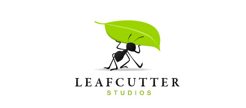 Ant leaf logo