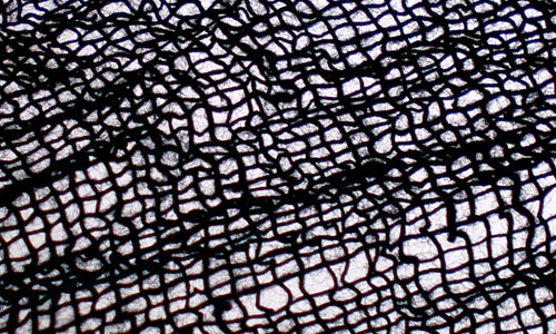 Old Netting texture