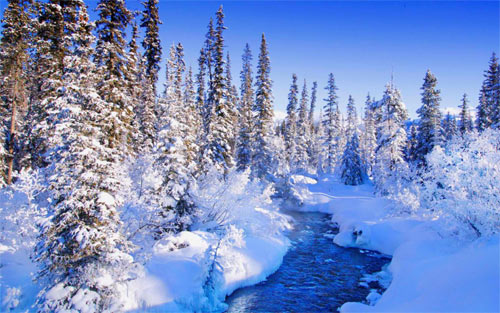 Winter in Canada wallpaper