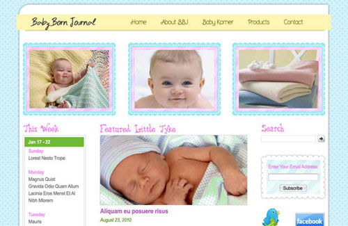 Baby Born Journal: Free PSD Website Template