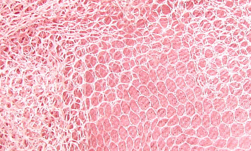 Pink Tutu Fabric Texture