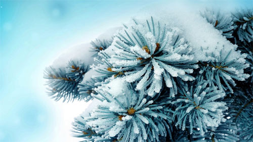 Free Winter Background Wallpaper - EnJpg