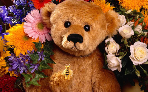 teddy with flowers wallpaper