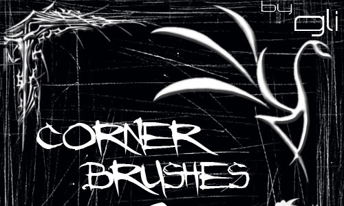 corner brushes 2