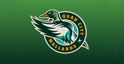 Hockey ducks logo design