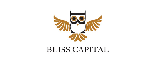 Financial finance typography owl logos