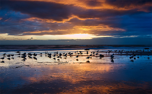 Ventura Beach