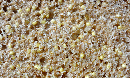 Millet free bread textures download
