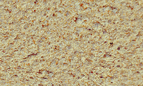 Messy free bread textures download
