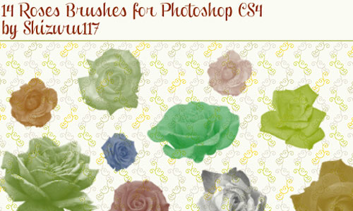 14 Roses Brushes for Photoshop CS4
