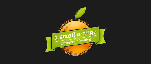 Hosting company orange logo design